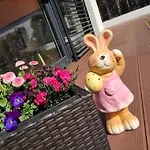Sonnenhain *