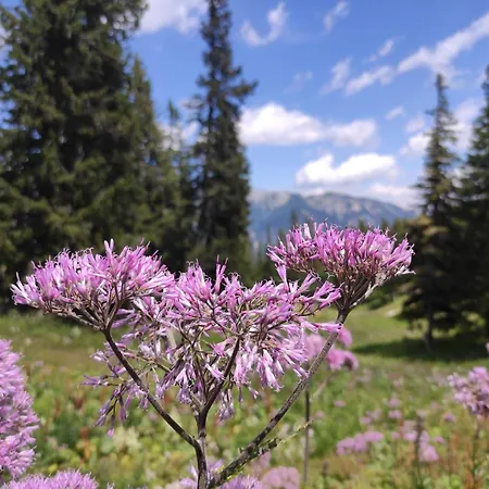 Sonnenhain Сasa de vacaciones *