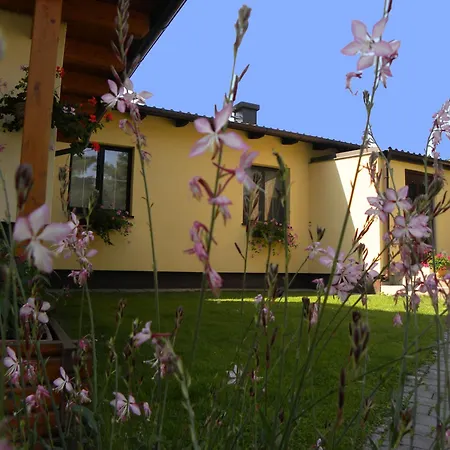 Sonnenhain * Sollenau