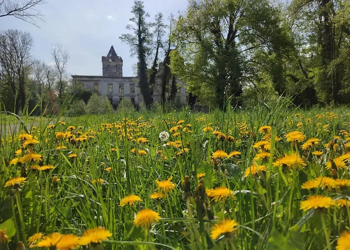 Feriehus Sonnenhain *
