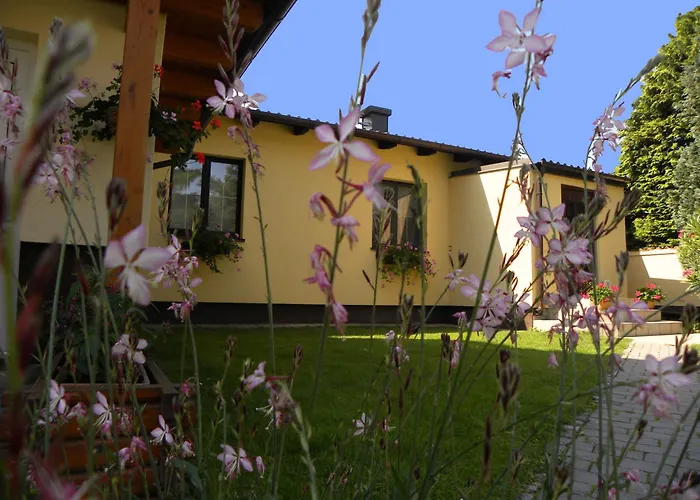 Sonnenhain * Sollenau